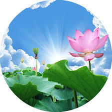 Tương quan giữa Trung đạo và Duyên khởi