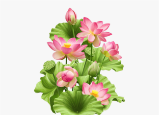 Tiến Hóa Vượt Ra Ngoài Ảo Tưởng