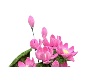 Tri Kiến Như Lai