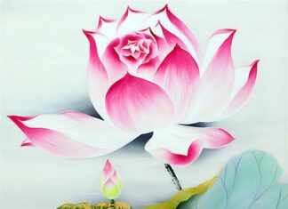 Vì người mà tạo nghiệp ác chính mình phải chịu tội