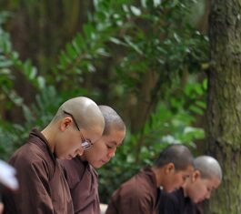 Củng cố và phát triển ngành giáo dục tăng ni