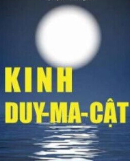 Tinh Hoa Giác Ngộ Trong Tinh Thần Kinh Duy Ma Cật (Song Ngữ Vietnamese-English PDF)