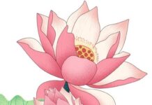 Thức Và Trí Trong Kinh Nhập Lăng Già | Nguyễn Thế Đăng