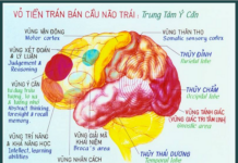 Tâm Trong Đạo Phật
