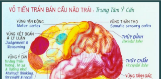 Tâm Trong Đạo Phật