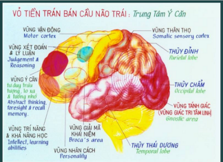 Tâm Trong Đạo Phật