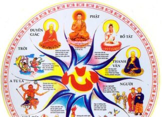 Vòng Luân Hồi