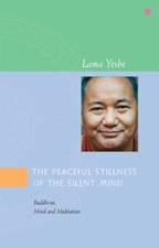 peaceful-stillness peaceful-stillness