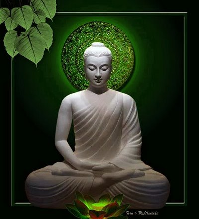 phat thich ca