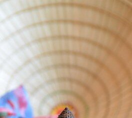 Tìm Niết Bàn Trong Sinh Tử