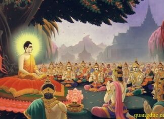 Luật học, mấy vấn đề nhìn lại