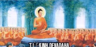 Từ Kinh Devadaha Đến Quan Điểm Về Nghiệp Trong Đạo Phật