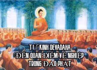 Từ Kinh Devadaha Đến Quan Điểm Về Nghiệp Trong Đạo Phật