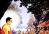 Quy Y Phật | Tỳ Khưu Bodhi