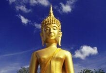 Không giải đoán điềm lành điềm dữ