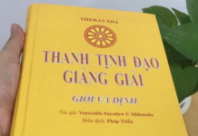 Thanh Tịnh Đạo Giảng Giải Giới Và Định | Tác Giả: Venerable Sayadaw U Sīlānanda Biên Dịch: Pháp Triều