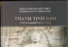 Thanh Tịnh Đạo (Visuddhimaggo) Phần Tuệ