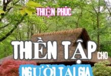 Thiền Tập Cho Người Tại Gia | Meditation Practices For Lay People (sách song ngữ Vietnamese-English PDF)