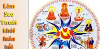 Thoát khỏi luân hồi