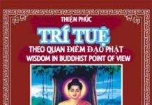 Trí Tuệ Theo Quan Điểm Đạo Phật – Sách Ebook Song Ngữ Vietnamese-English PDF