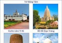 Vài Ghi Chú Về Tứ Động Tâm