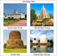 Vài Ghi Chú Về Tứ Động Tâm