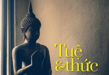 Tuệ & Thức