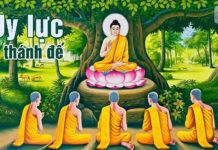 Uy lực 4 thánh đế