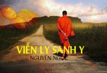 Viễn ly sanh y