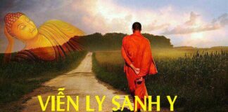 Viễn ly sanh y