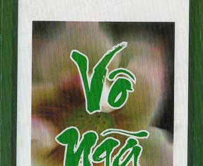 Tinh Hoa Của Thuyết Vô Ngã Trong Phật Giáo (Song Ngữ Vietnamese-English)