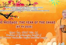 SPRING MESSAGE: THE YEAR OF THE SNAKE (ẤT TỴ 2025)