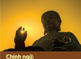 Chính ngữ: giải pháp phòng, chống bạo hành bằng lời nói