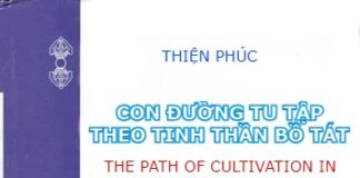 Con Đường Tu Tập Theo Tinh Thần Bồ Tát (Ebook Song Ngữ Vietnamese-English PDF)