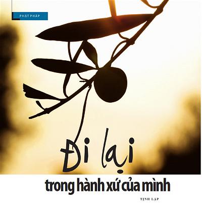 di-lai-trong-hanh-xu