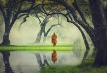 Du Hành Nhiều Bị Phật Quở | Quảng Tánh