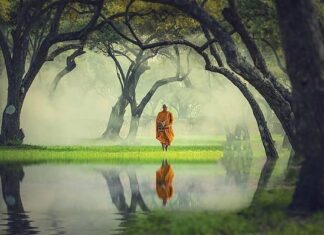 Du Hành Nhiều Bị Phật Quở | Quảng Tánh