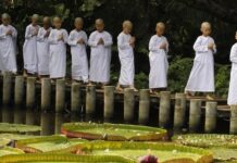 Cùng nghiệp thì kết duyên với nhau