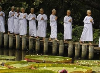 Cùng nghiệp thì kết duyên với nhau