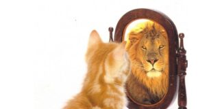 Đừng chấp cái tôi thái quá!