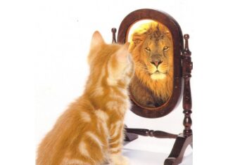 Đừng chấp cái tôi thái quá!