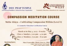COMPASSION MEDITATION COURSE