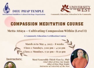 COMPASSION MEDITATION COURSE