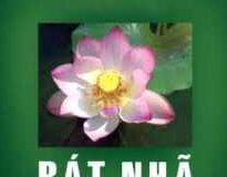 Không bờ không bến