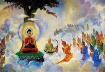 Làm sao trừ được khổ?