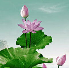 Giây phút giải thoát