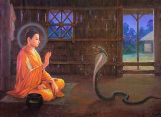 Kệ trừ rắn độc