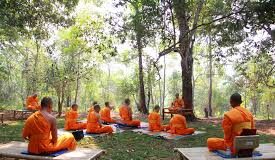 Làm thế nào để thực hành Tâm từ bi (Song ngữ Vietnamese-English)