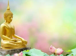 THÔNG ĐIỆP PHẬT ĐẢN PL 2569 CỦA HT XỬ LÝ THƯỜNG VỤ HỘI ĐỒNG CHỨNG MINH