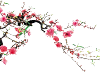 Năm mới, cúng sao giải hạn